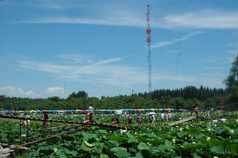 北京蟹島綠色生態度假村