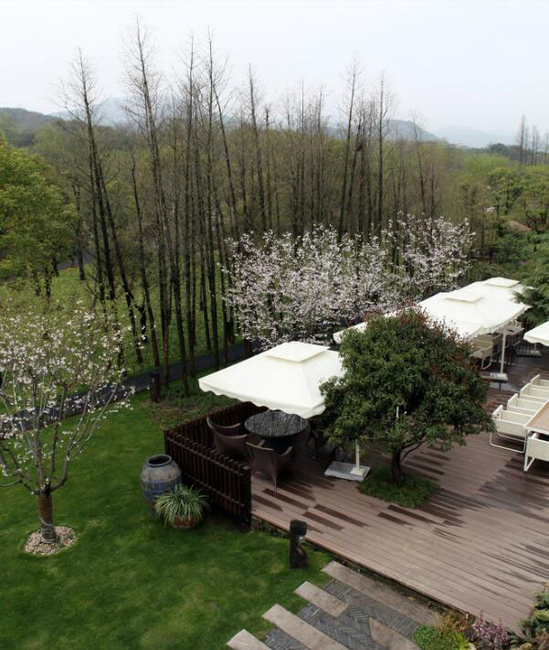 鄉村旅游規劃設計公司：熱土養生莊園旅游規劃之水杉林蔭道