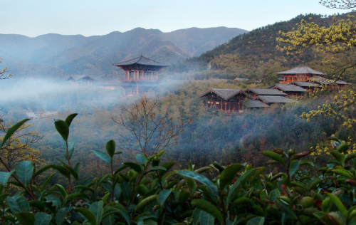 浙江茶文化度假區的旅游策劃