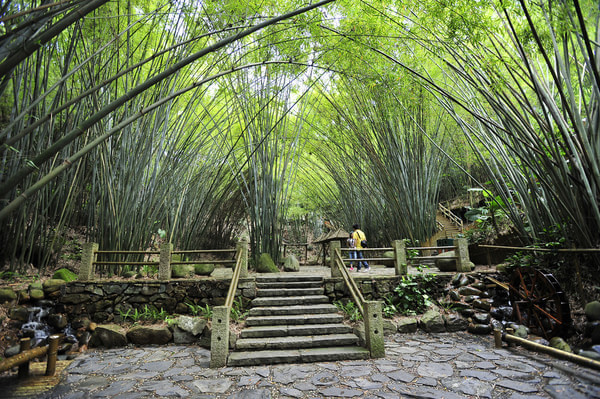 山地旅游規劃院：深圳東部華僑城因地制宜旅游規劃的竹樂谷