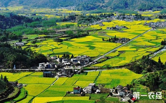 農業部發文促鄉村旅游發展 鼓勵PPP模式