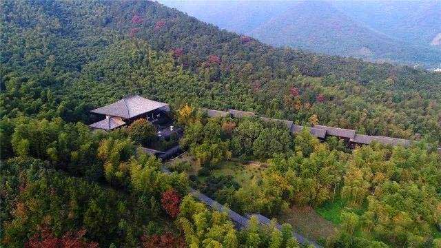 佛系旅游體驗